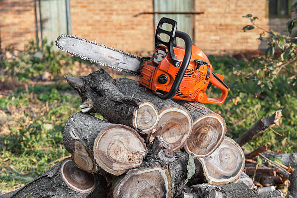 Best Professional Tree Care  in Pulaski, TN